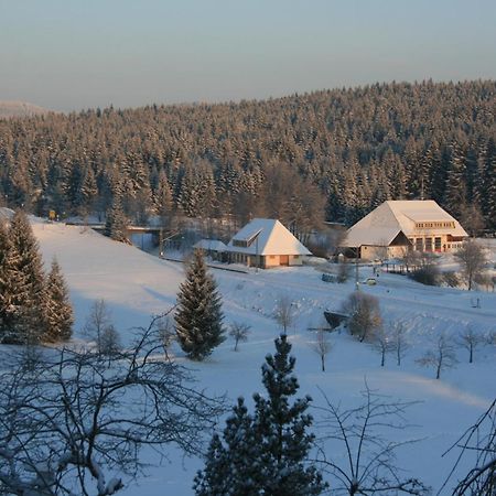 Hotel Waldeck Mit Restaurant "Florian'S" フェルトベルク エクステリア 写真